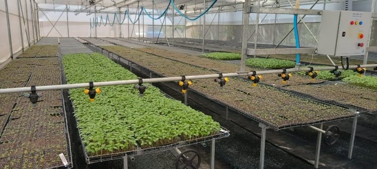 Kerala’s New Agricultural Milestone: Indo-Dutch Centre of Excellence Commissioned by Saveer at Wayanad photo 2