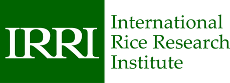 International Rice Research Institute (IRRI)