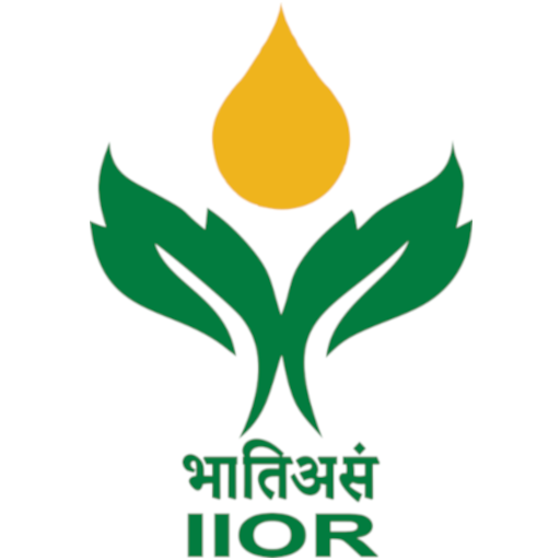 Indian Institute of Oilseeds Research (IIOR)