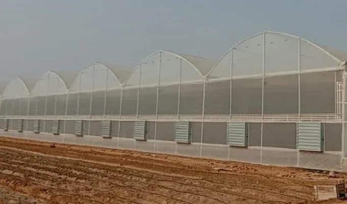Commercial Hydroponic farm at Greater Noida sets an example for Entrepreneurs looking for Greenhouse facility to grow quality & exotic vegetables production to cater premium consumers