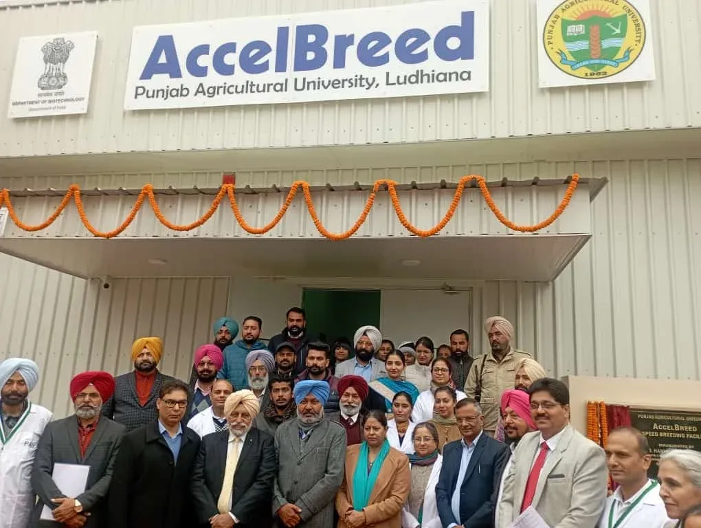 AccelBreed: Speed Breeding Facility at Punjab Agricultural University, Ludhiana photo 3