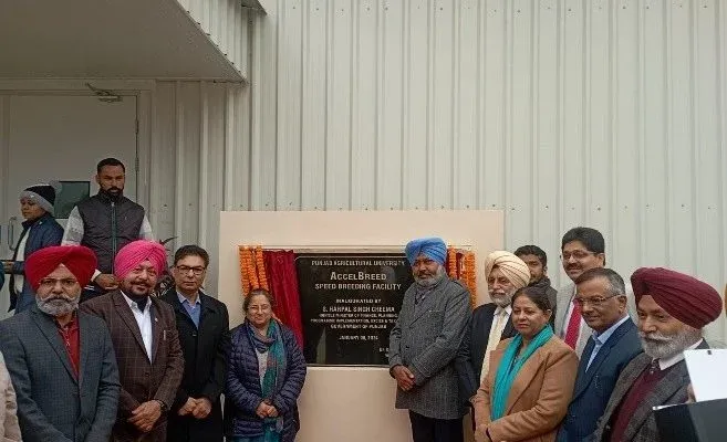 AccelBreed: Speed Breeding Facility at Punjab Agricultural University, Ludhiana