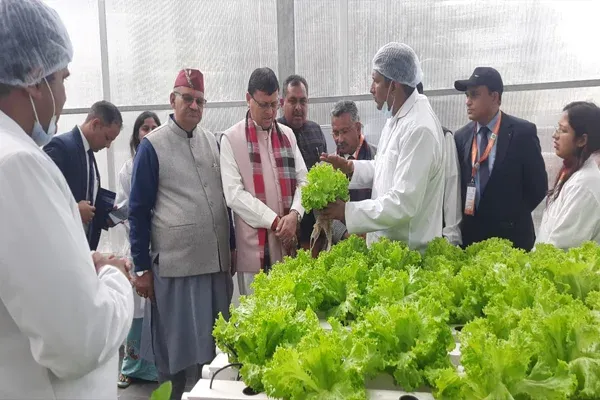 Saveer established Solar Greenhouse Hydroponics Setup at Dehradun