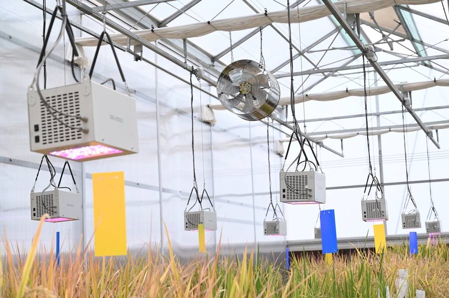 Greenhouse with ultrafine mist humidification and airflow