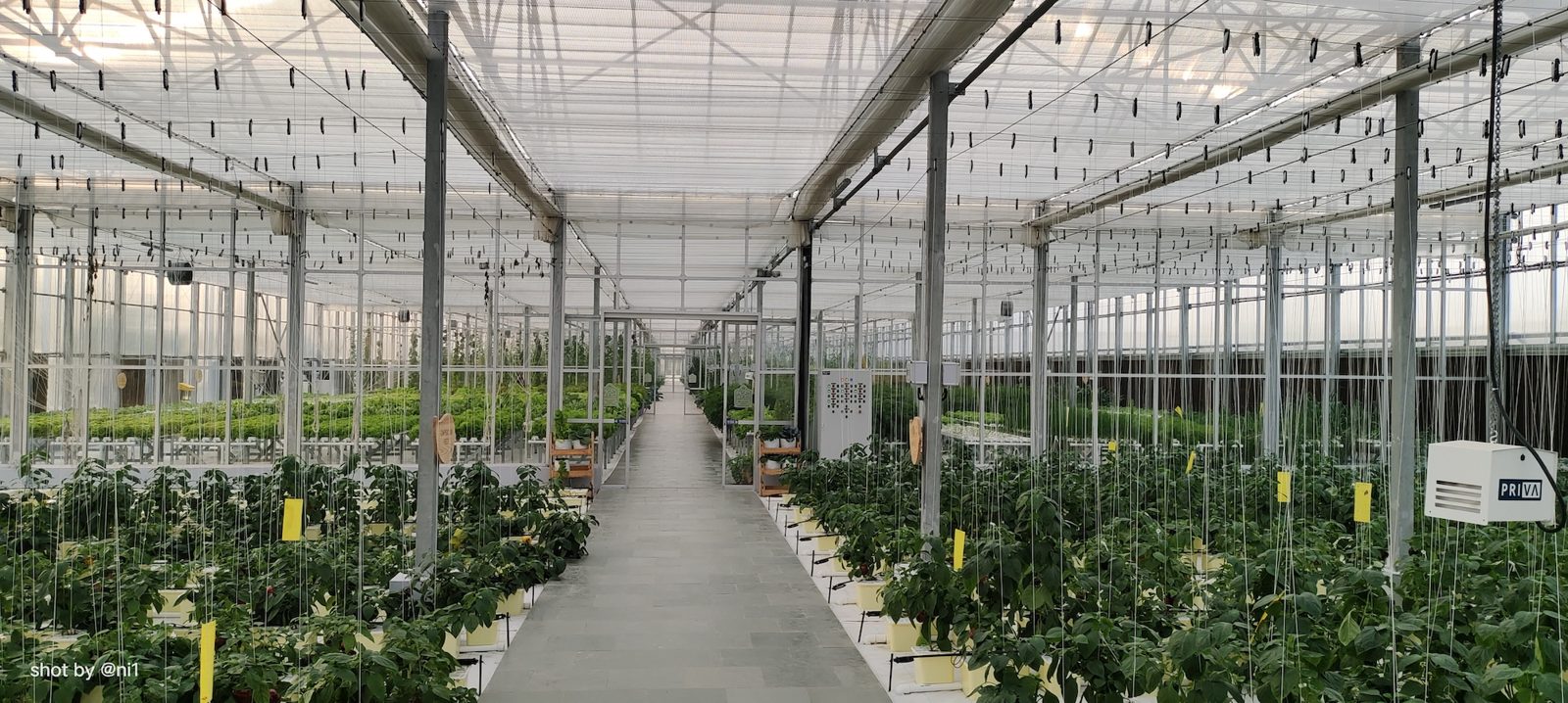 Phytotron Research Wing Opening