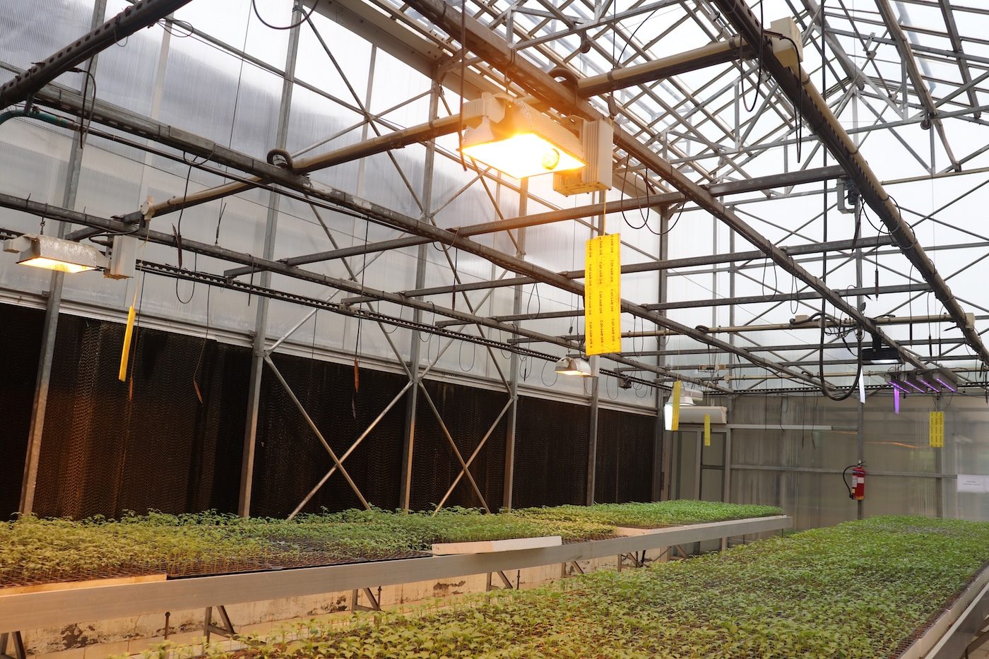 Designing for a 40&deg;C swing: glazing that holds spec