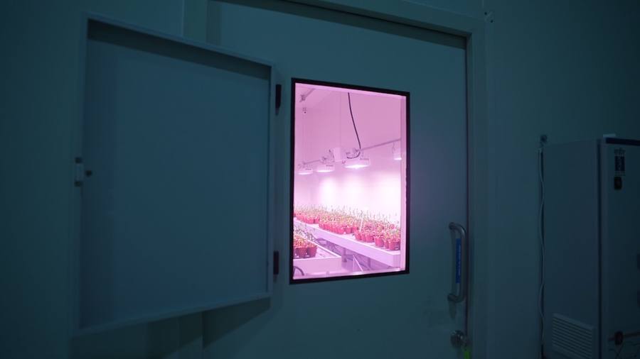 Facility corridor with integrated air-tight doors