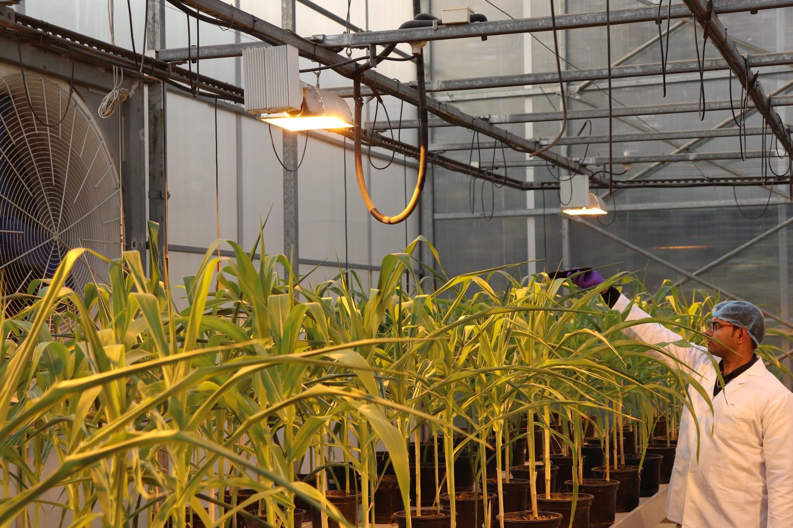 DSIR-Recognized R&D Facility