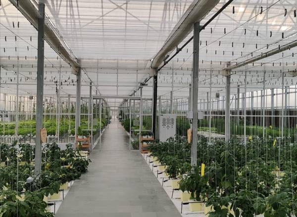 Research Green House